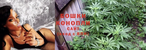 мяу мяу мука Аркадак