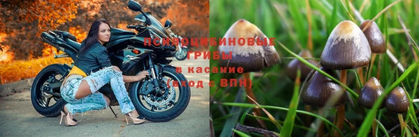 мяу мяу мука Аркадак